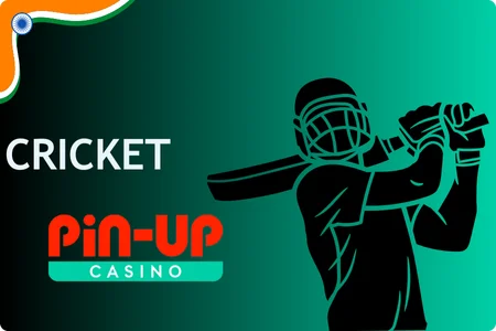 Cricket Pin Up bet APK